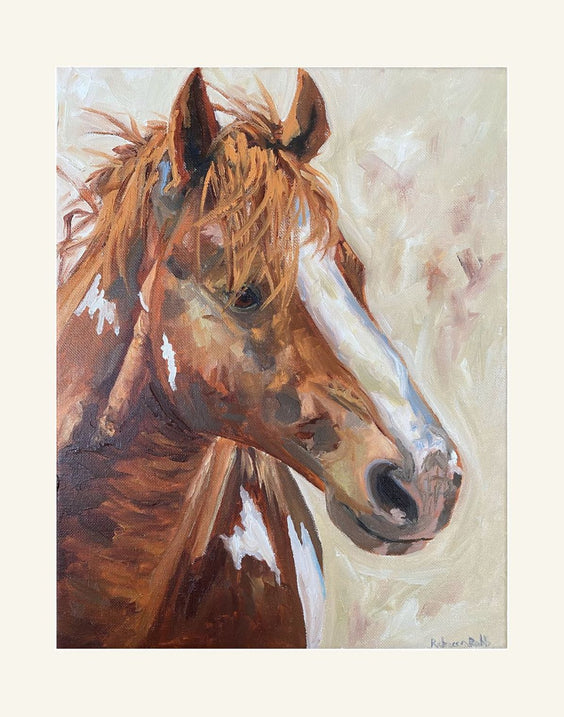 Colt | Paper Prints | from 11 x 14 - rebeccarobbfineart.com