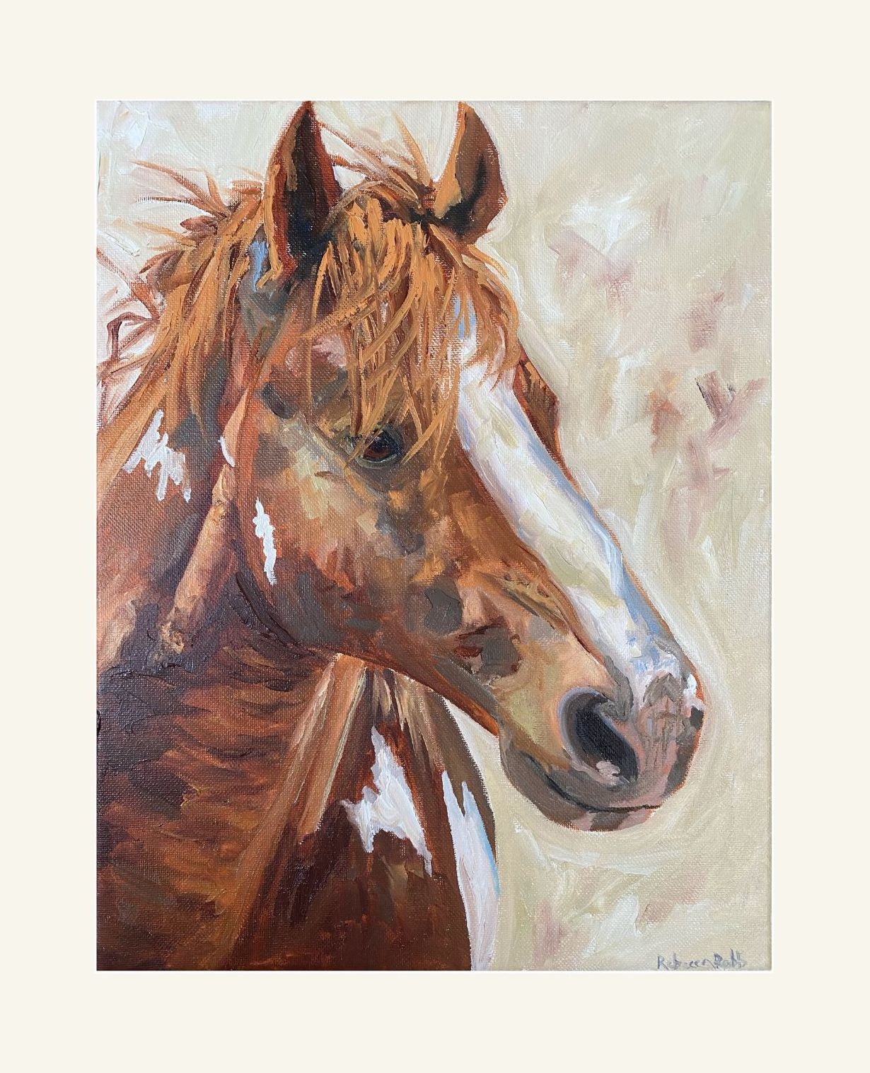 Colt | Paper Prints | from 11 x 14 - rebeccarobbfineart.com