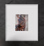 Filly | Paper Prints | from 11 x 14 - rebeccarobbfineart.com
