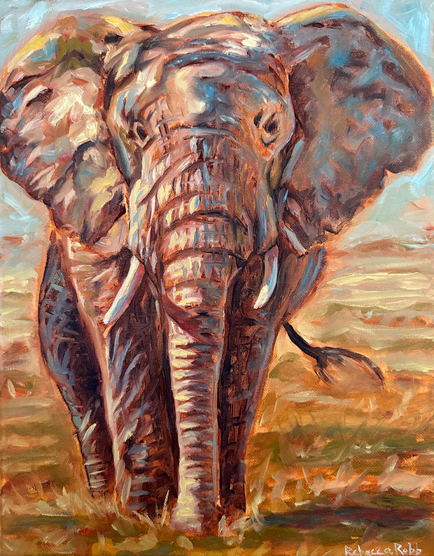 Loner | Oil on Canvas | 14" x 11" - rebeccarobbfineart.com
