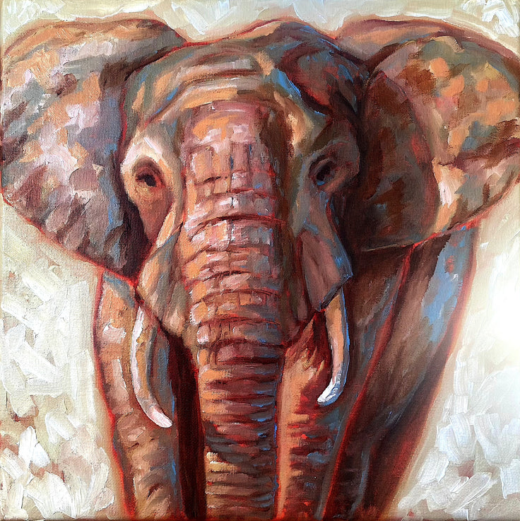 Little Grey | Oil on Canvas | 12" x 12" - rebeccarobbfineart.com
