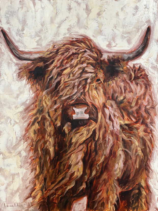 Highland Horns | Oil on Canvas | 30" x 40" - rebeccarobbfineart.com