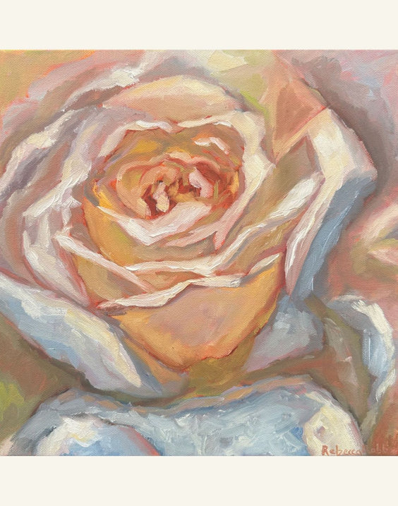 Rose In Bloom | Paper Prints | from 12 x 12 - rebeccarobbfineart.com