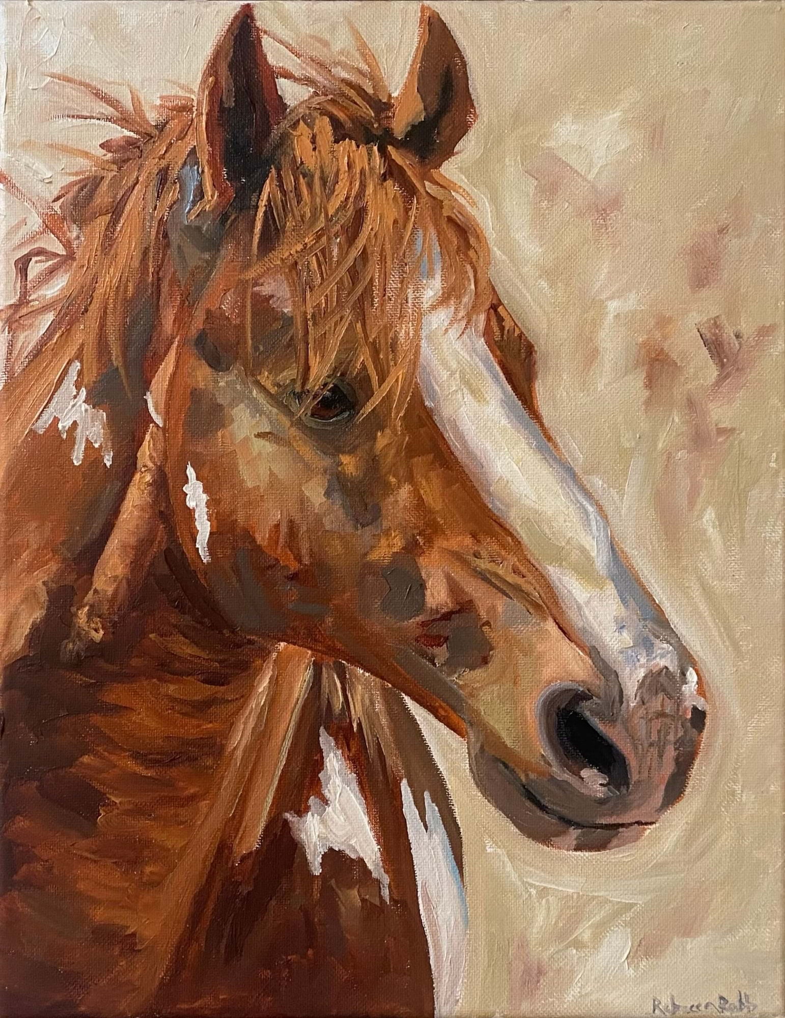 Colt