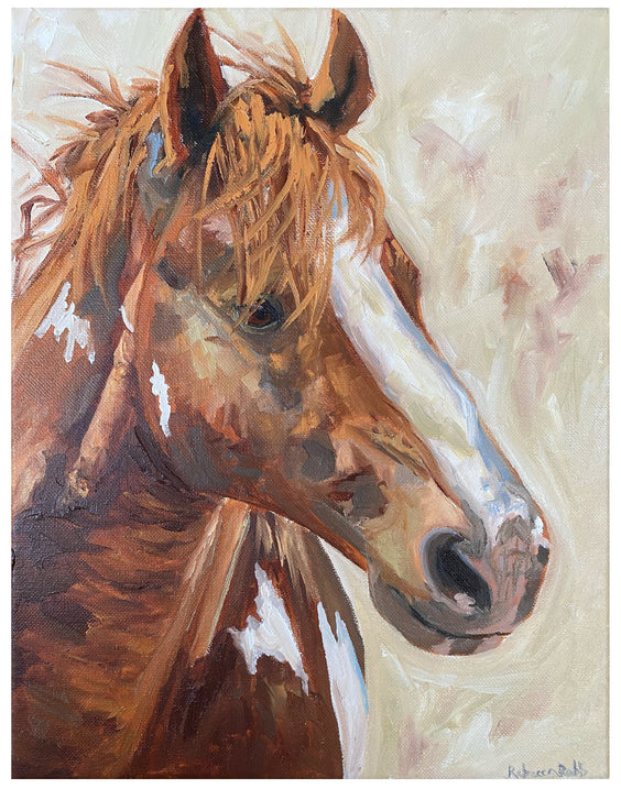 Colt | Oil on Canvas | 11