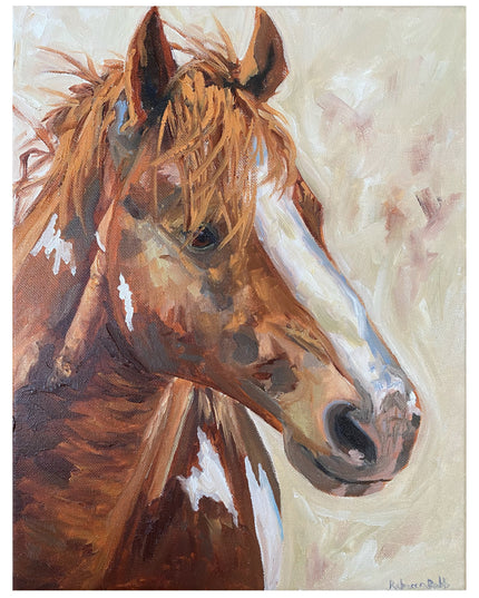 Colt | Oil on Canvas | 11" x 14" - rebeccarobbfineart.com