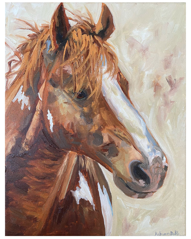 Colt | Oil on Canvas | 11" x 14" - rebeccarobbfineart.com