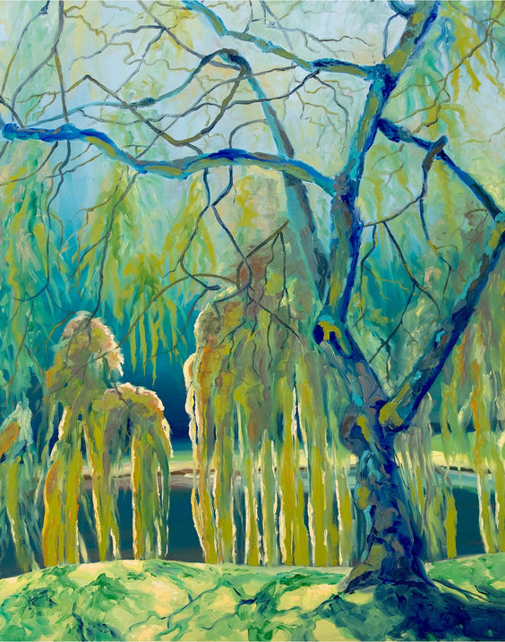 Willow’s Calm | Oil on Canvas | 48