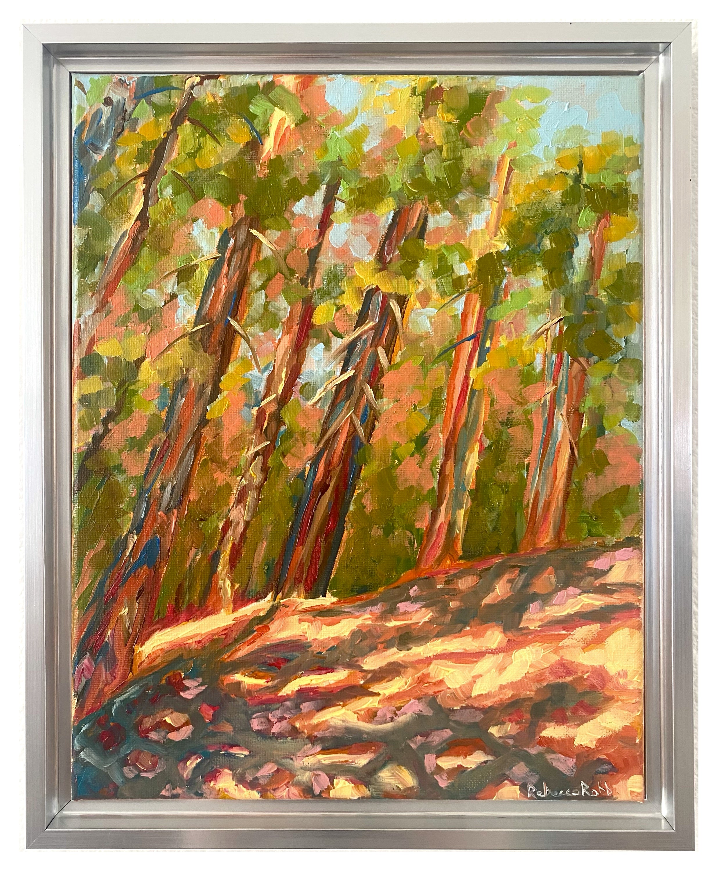 Redwood Blaze | Oil on Canvas | 11”x14” | Framed